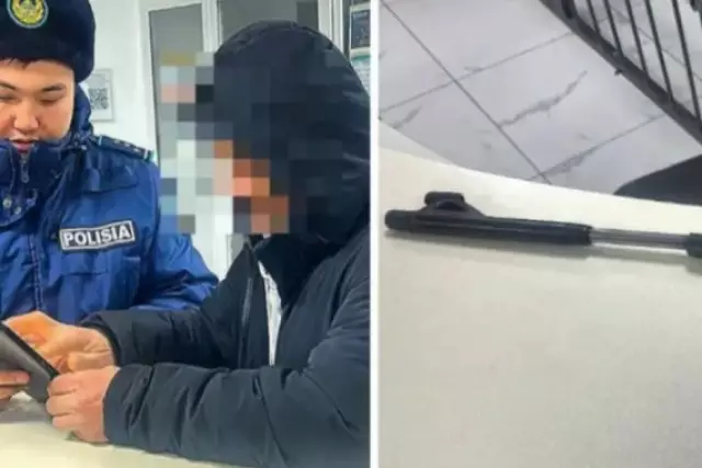 Семейде иттерге оқ атқан ветеринария қызметкері ұсталды