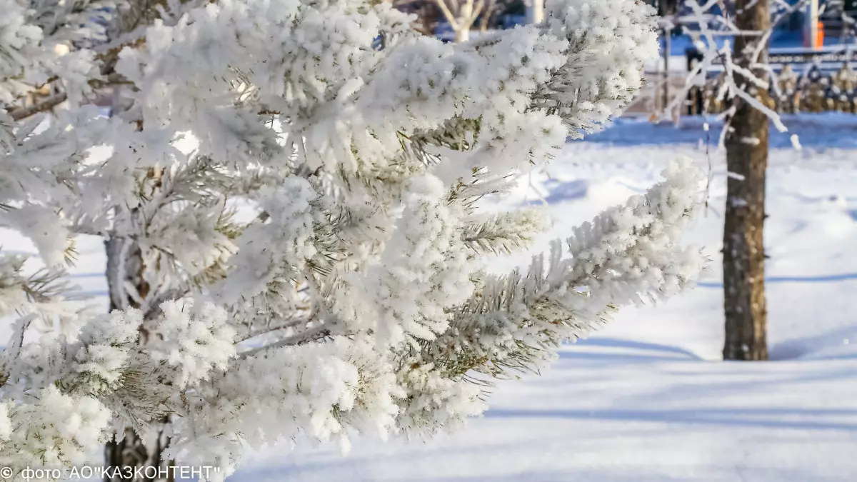-37°С аяз: Синоптиктер жаңа ауа райы болжамын жариялады