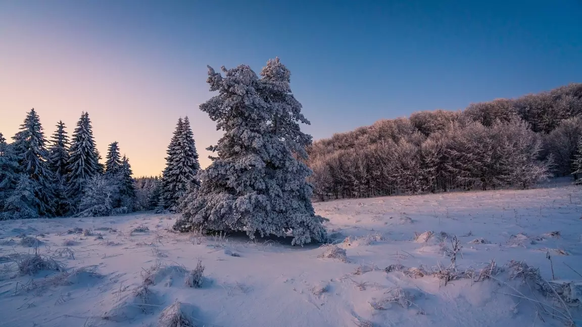 Алдағы күндері -37 градусқа дейін суық болады