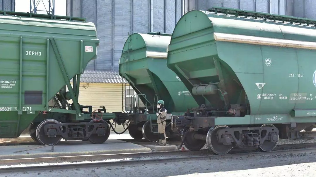Казахстан экспортировал 6,4 млн тонн зерна нового урожая