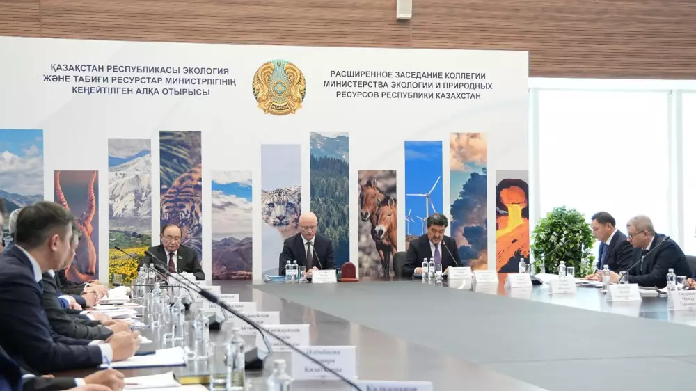 Леса, отходы и цифровой контроль: что обсудили на коллегии Минэкологии