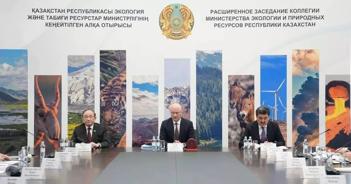  Новая конституция как основа экологической безопасности страны 