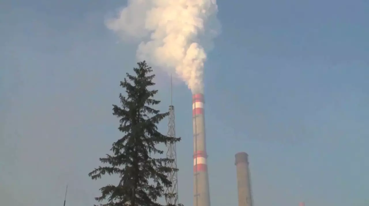 Эксперты предложили комплекс мер по защите экологии ВКО