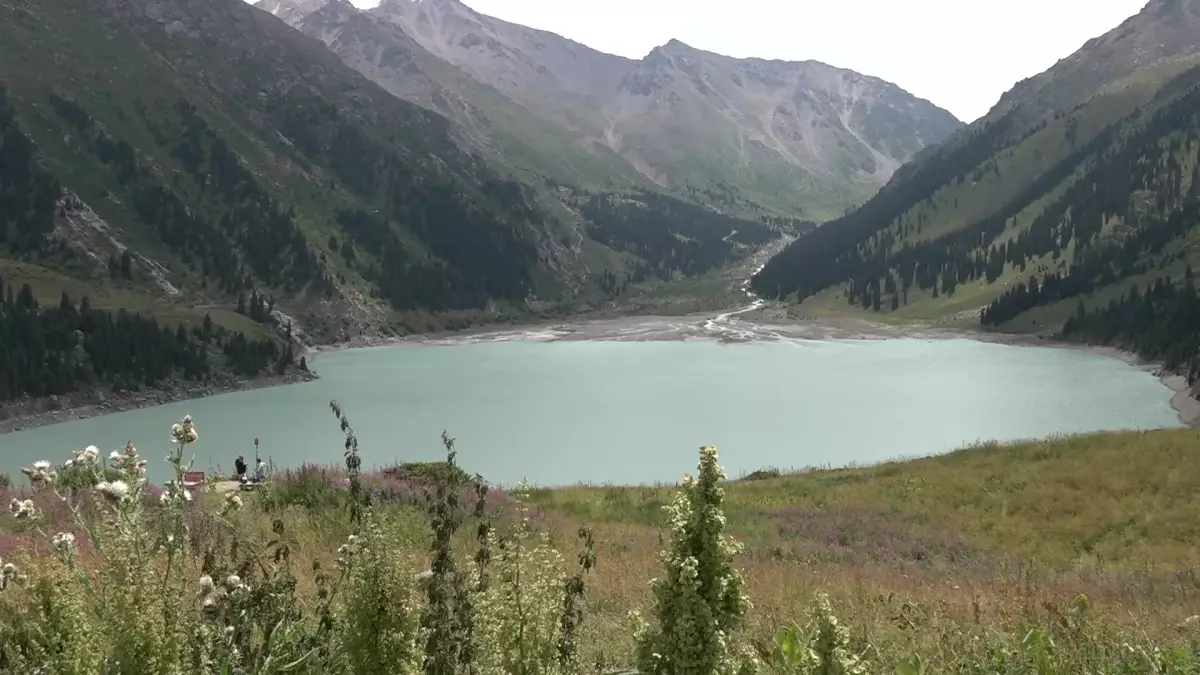 Іле-Алатауы мемлекеттік ұлттық табиғи паркінің аумағында 380 келі ағаш тұқымы себілді