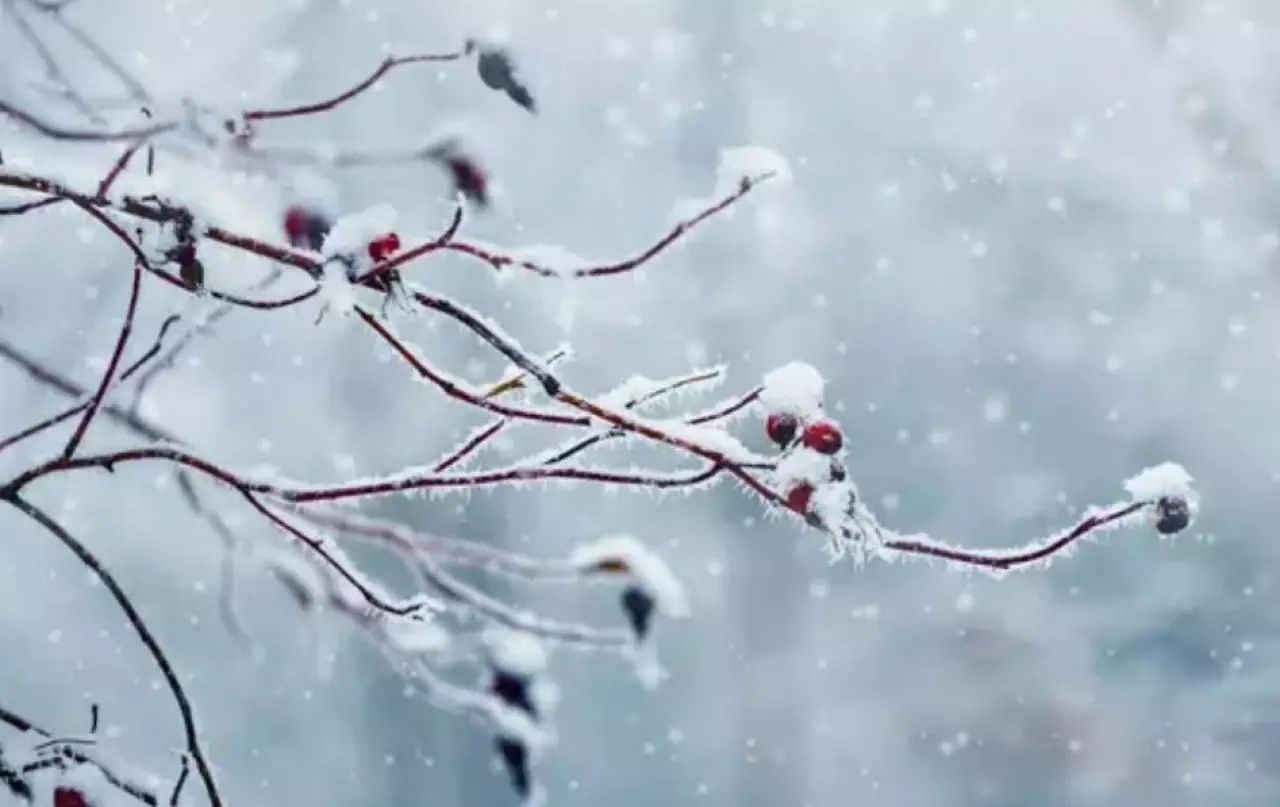 Морозы до -40°C надвигаются на Казахстан