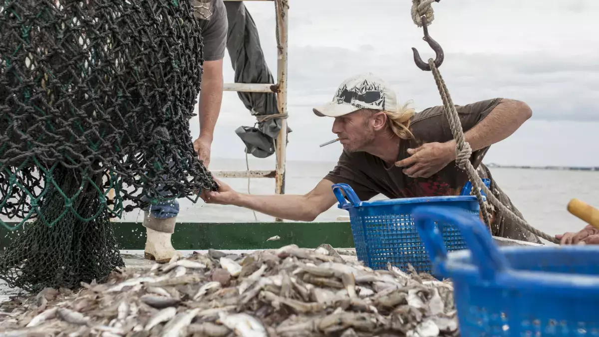 Ловись, рыбка! Сколько морских биоресурсов можно выловить в Мангистау в этом году - новости на Lada.kz 21.02.2026