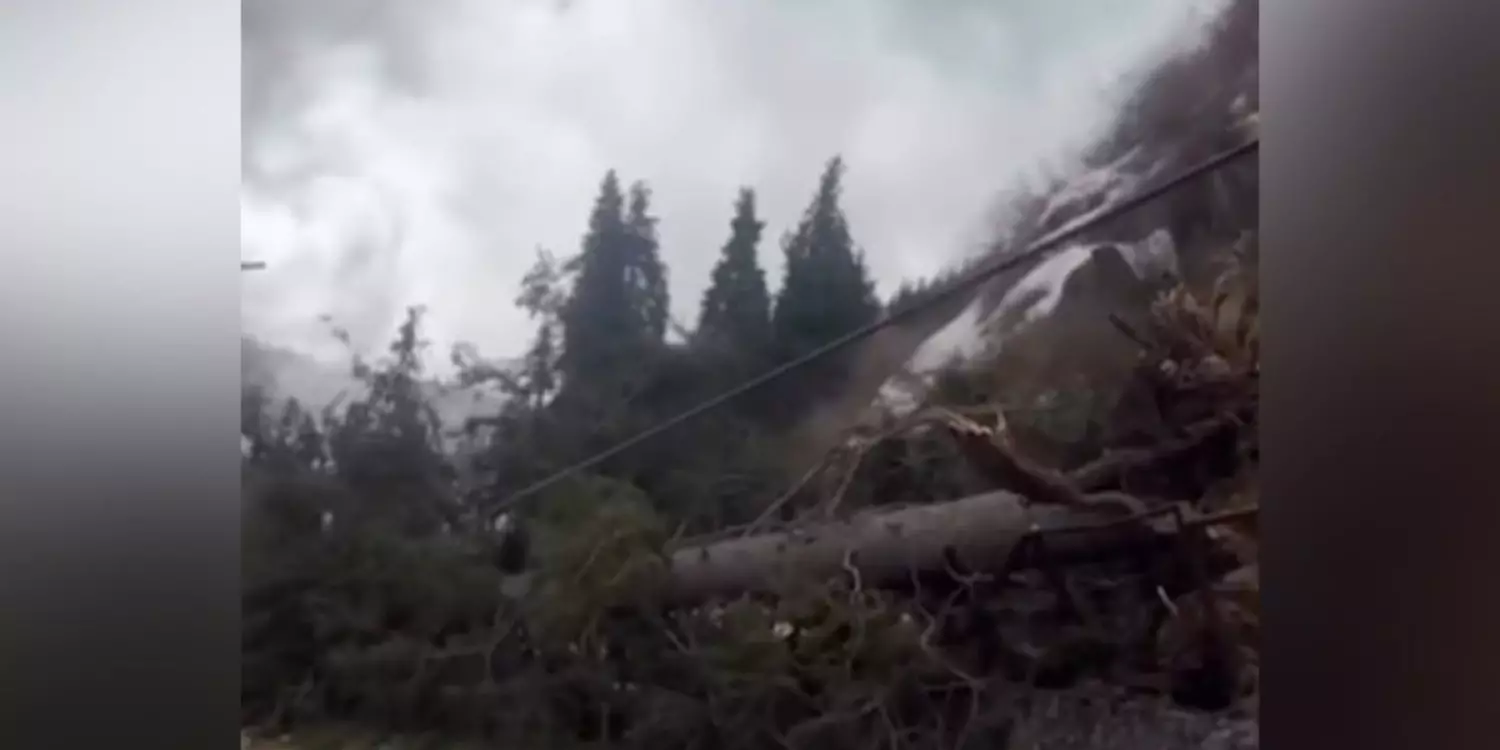 Алматыда жойқын жел: «Шымбұлақта» фуникулер шайқалып, «Медеуде» ағаштар құлады