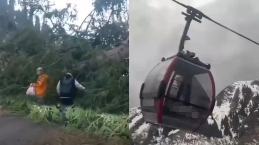 Погода на Шымбулаке: рухнувшее дерево и качающиеся кабинки