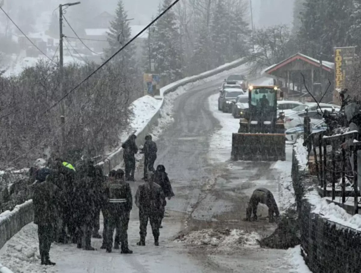 Ветер повалил дерево на дороге к Шымбулаку в Алматы