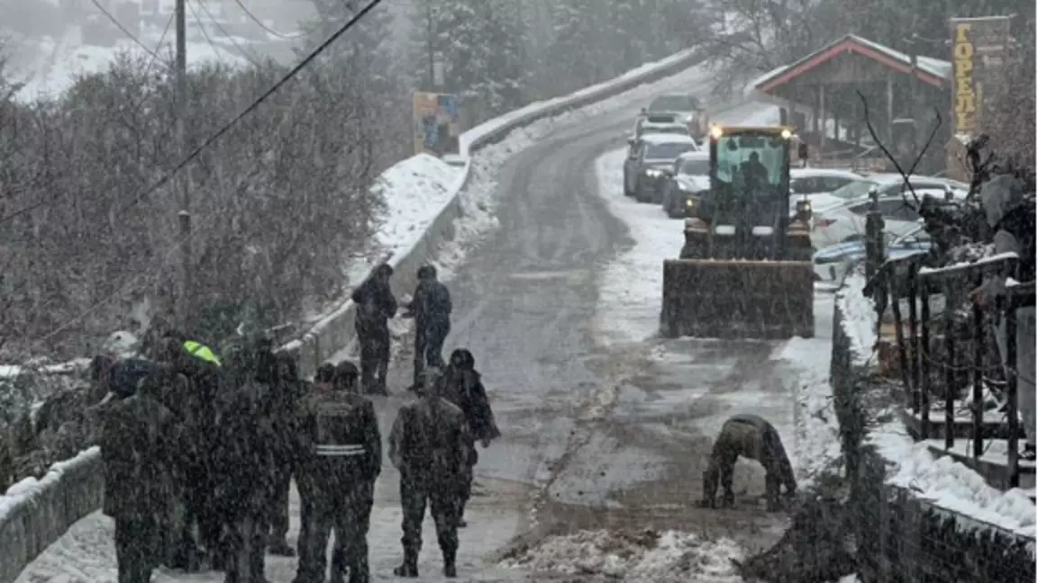 Алматыда қатты желден ағаштар құлады