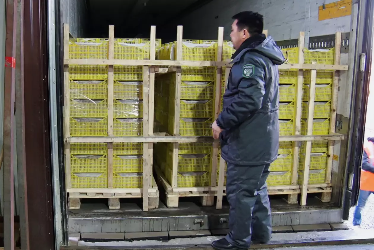 В Астраханской области задержали 20 тонн рыбы из Казахстана.