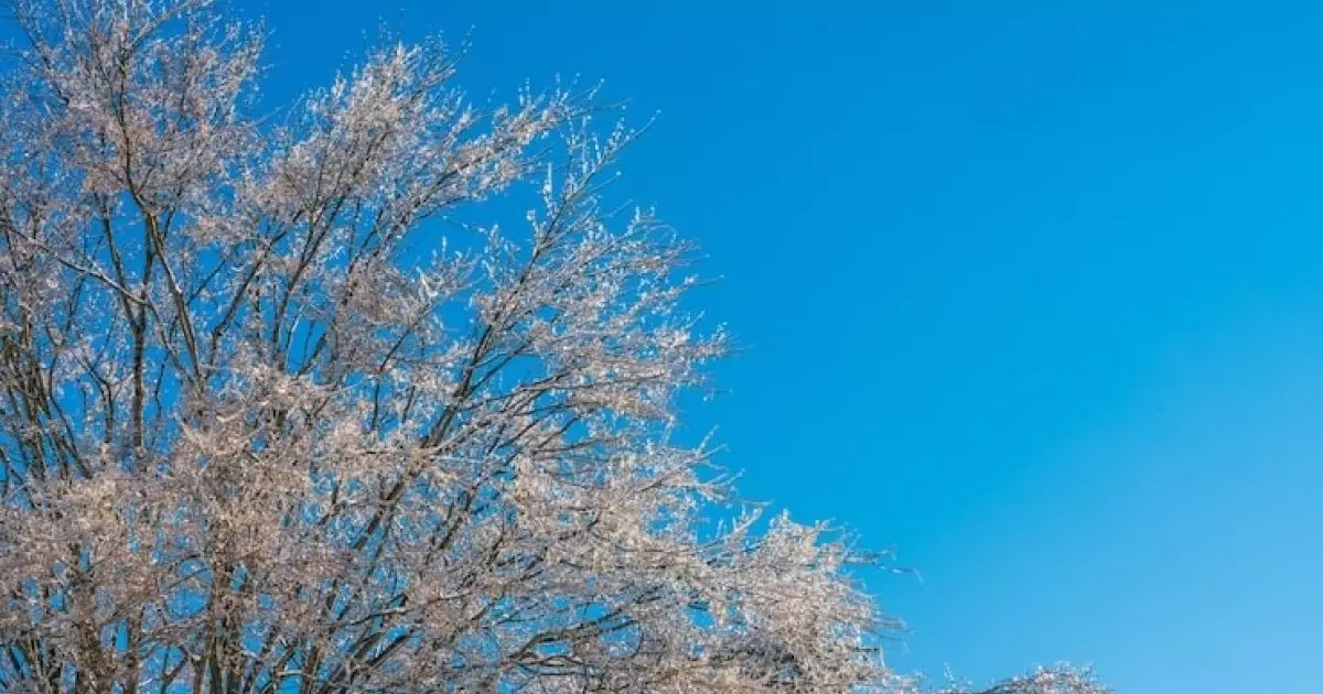  22 ақпанда Қазақстанда боран мен көктайғақ күтіледі 