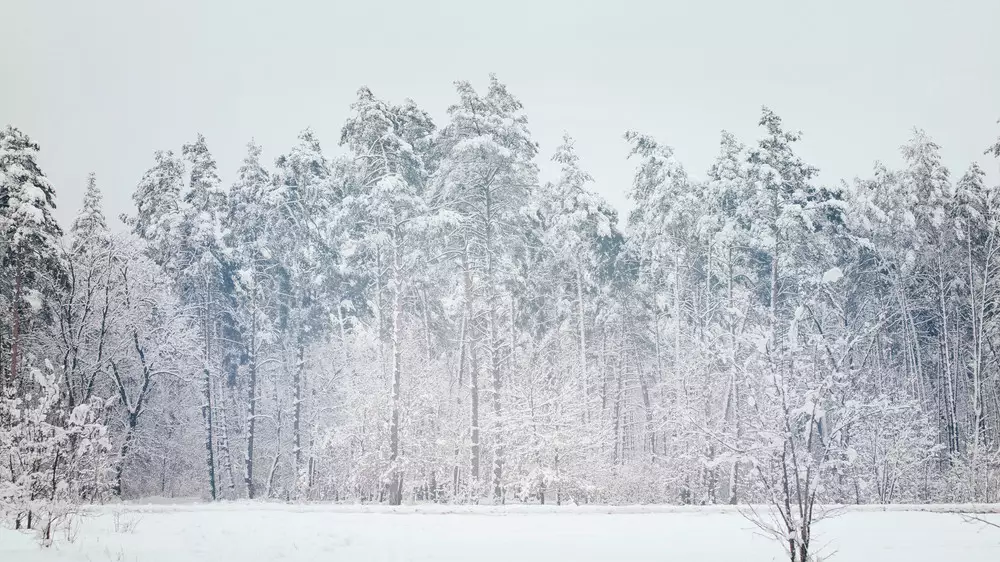 Снегопад, туман и ветер: штормовое предупреждение объявили по всей стране