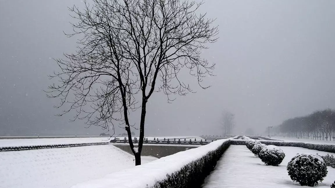 "Қазгидромет" 22 ақпанға арналған ауа райы болжамын жариялады