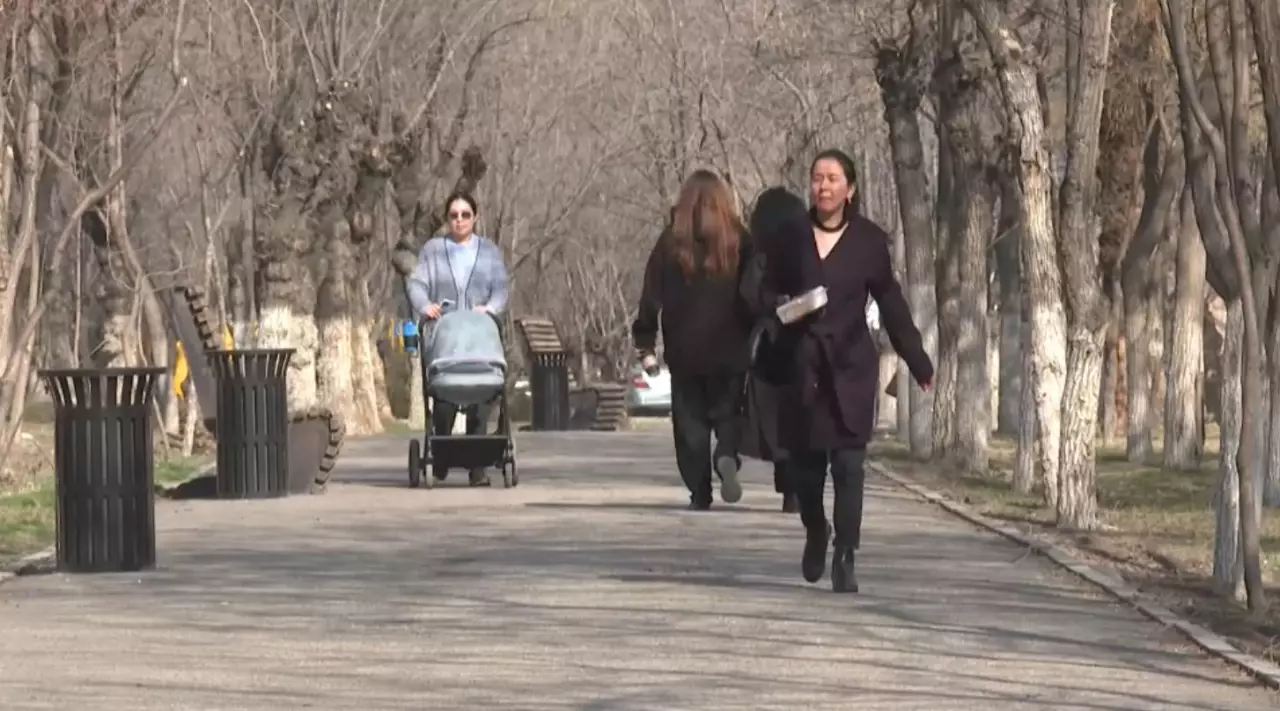 Тараздықтар жаңа Конституцияны қолдайды. Сауалнама