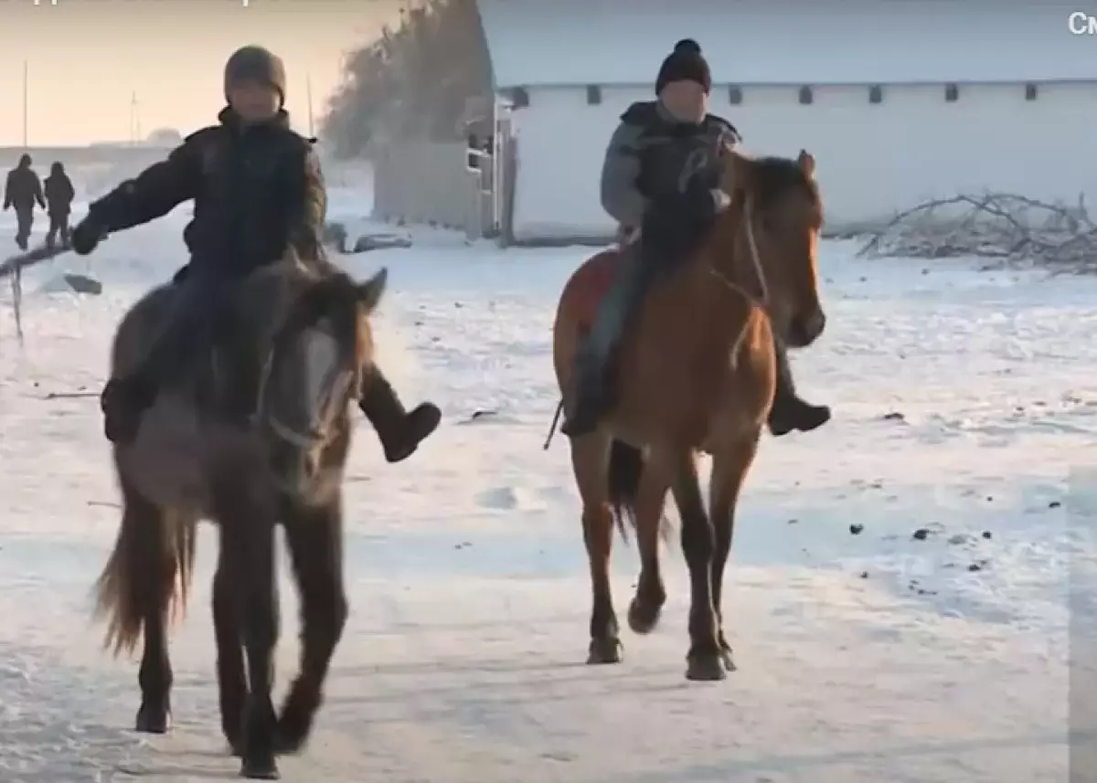 До 1,5 млн тенге предлагают жителям Семея за переезд в село