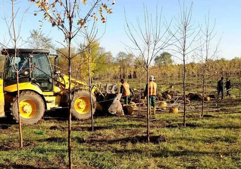 Инициатива Чистый Казахстан стала масштабным общенациональным движением