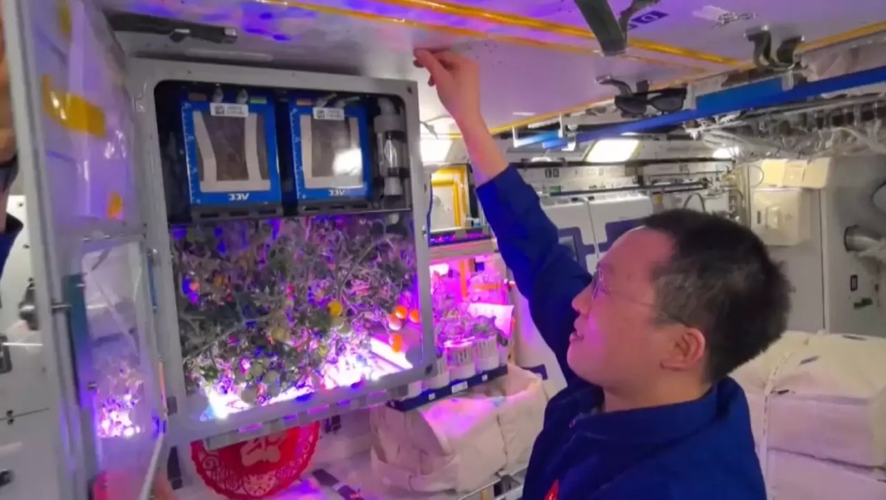 Қытайлар ғарышқа бақша екті