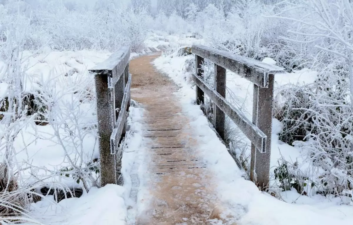 Астанада және еліміздің 16 өңірінде дауылды ескерту жарияланды