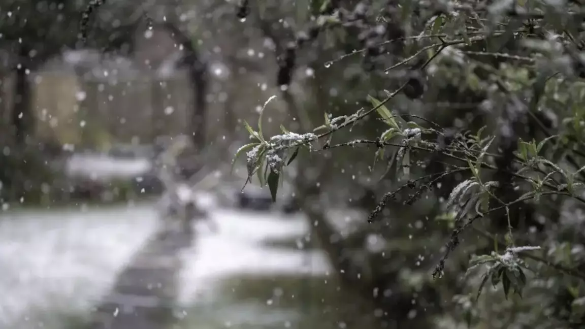 Бүгін елдің басым бөлігінде ауа райы құбылмалы болады