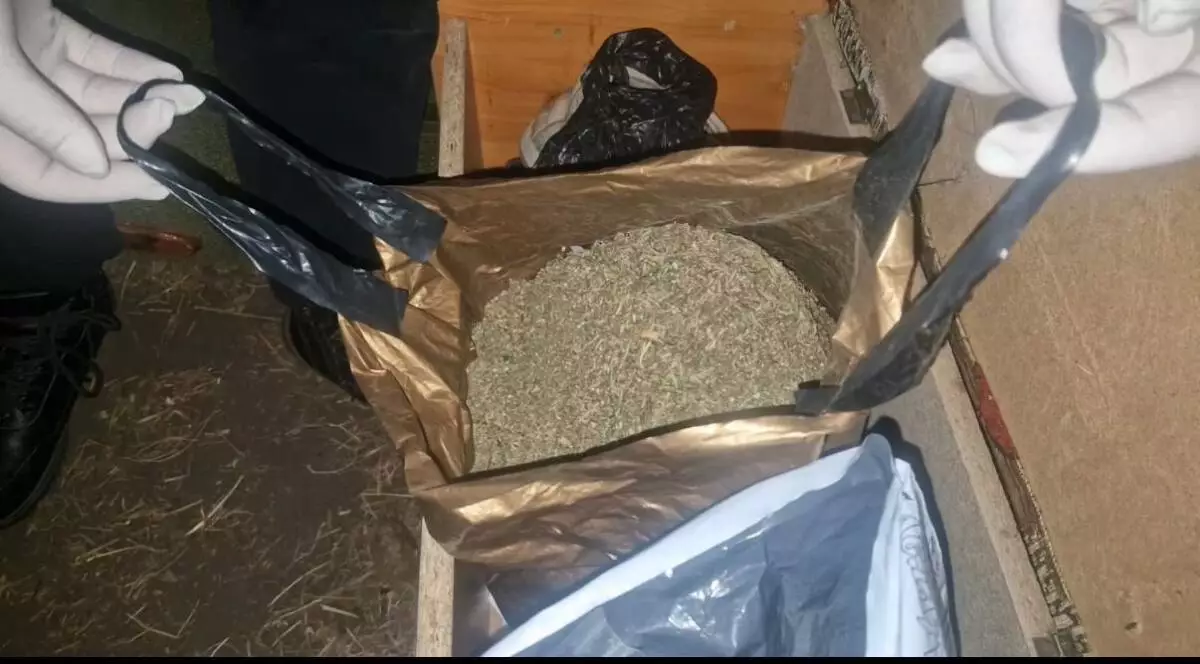 Особо крупную партию марихуаны нашли в частном доме в ВКО