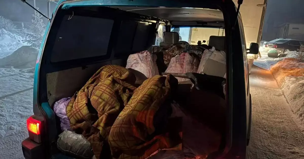  Ақмола облысында заңсыз ет өнімін тасымалдағандар анықталды 