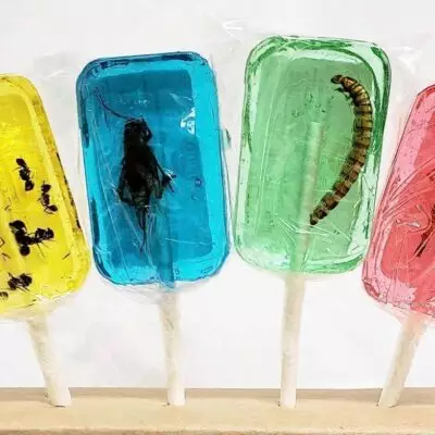 Конфеты с «сюрпризом»: Жительница Костаная получит компенсацию за нахождение насекомых в упаковке