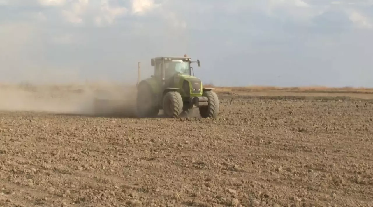 Қызылорда облысында егіндік жер құнарсызданып барады