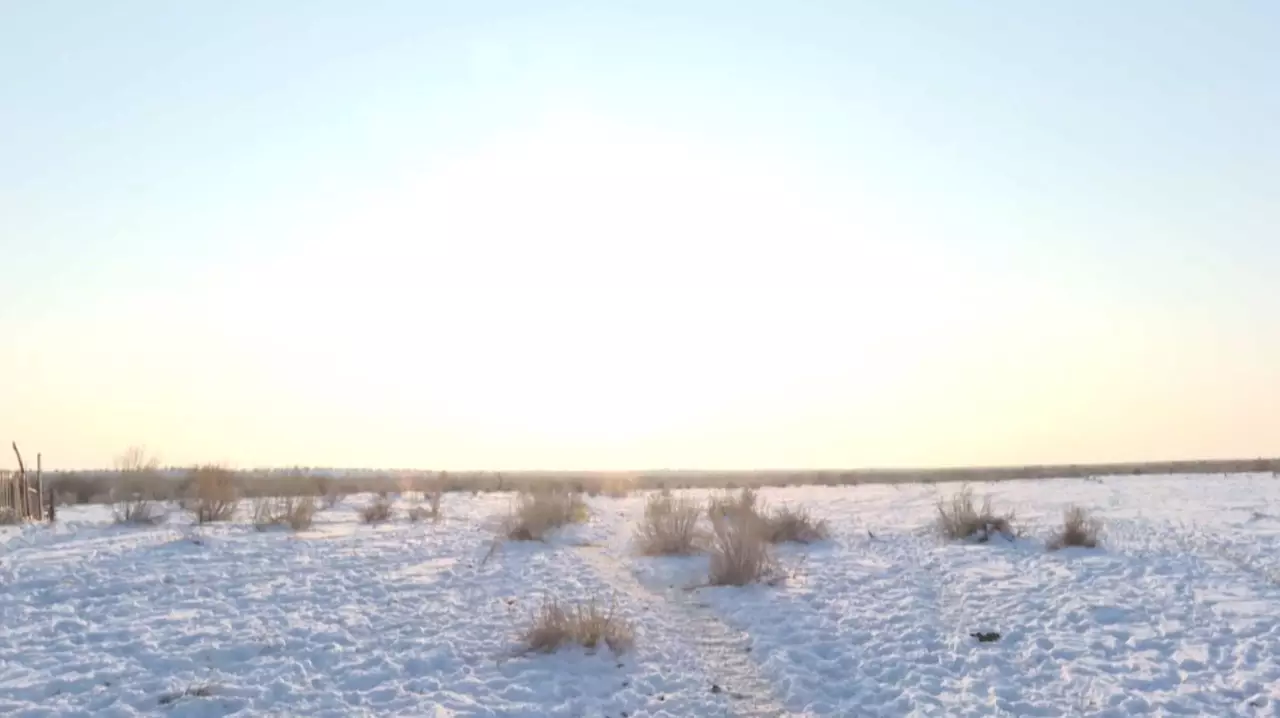 Түркістан облысында үш мың гектар жер мемлекетке қайтарылды