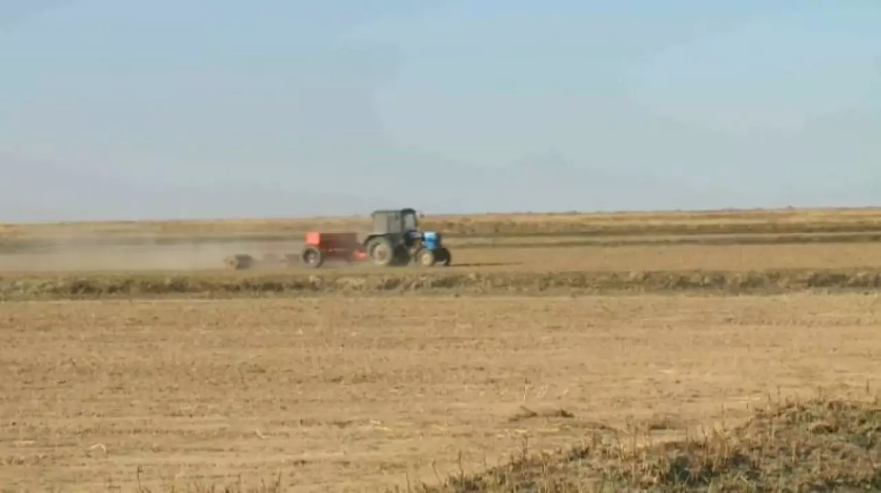 Аграрии получили доступ к раннему финансированию посевной