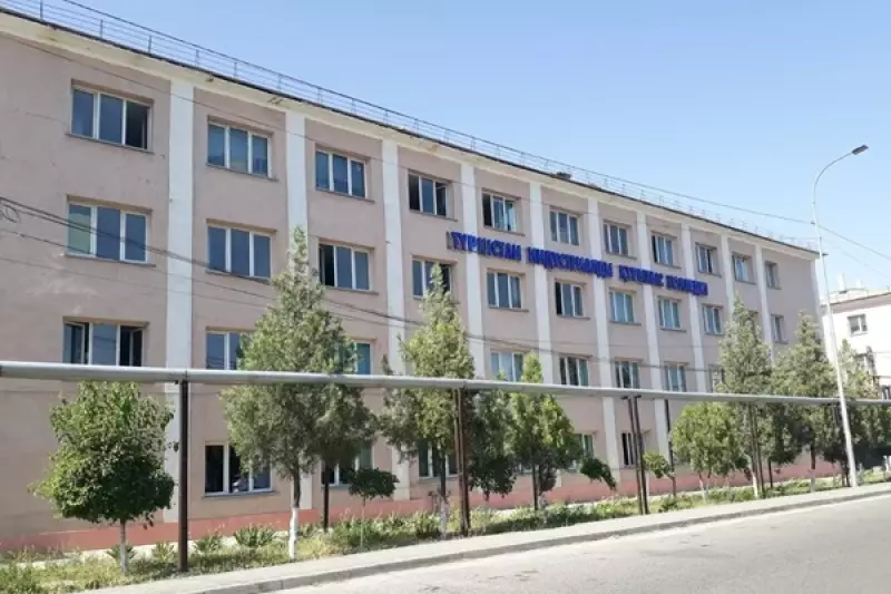 «Ты что, не девочка?» — студенток заставляют мыть мужские туалеты в общежитии Туркестана