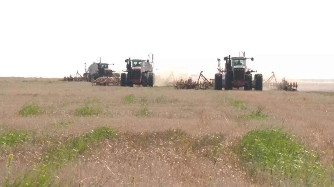 Борьба с деградацией земель: какие меры принимают в Казахстане