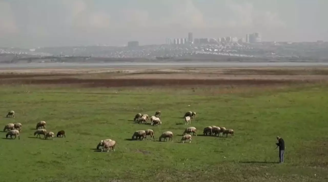 Жер бетінде топырақ тозып барады
