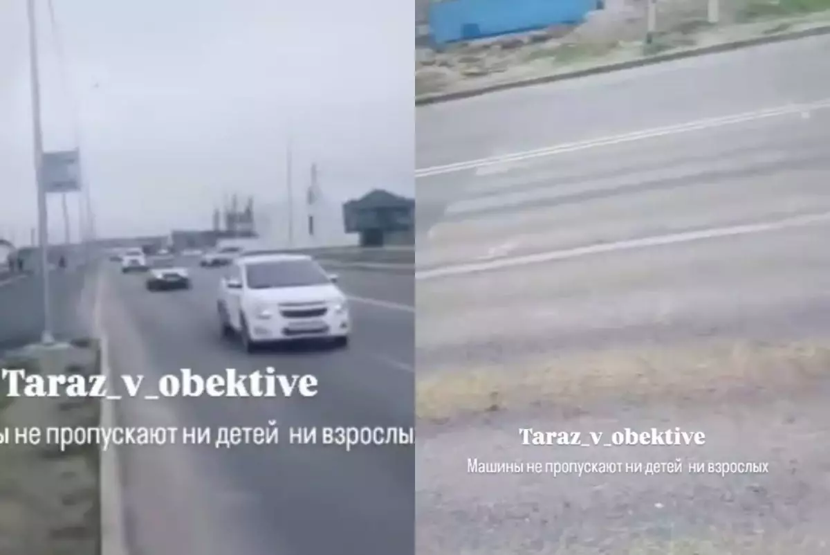 Таразда жаяу жүргіншілерге жол жоқ: Әкімдік бір бағдаршамды қимай отыр ма? (ВИДЕО)