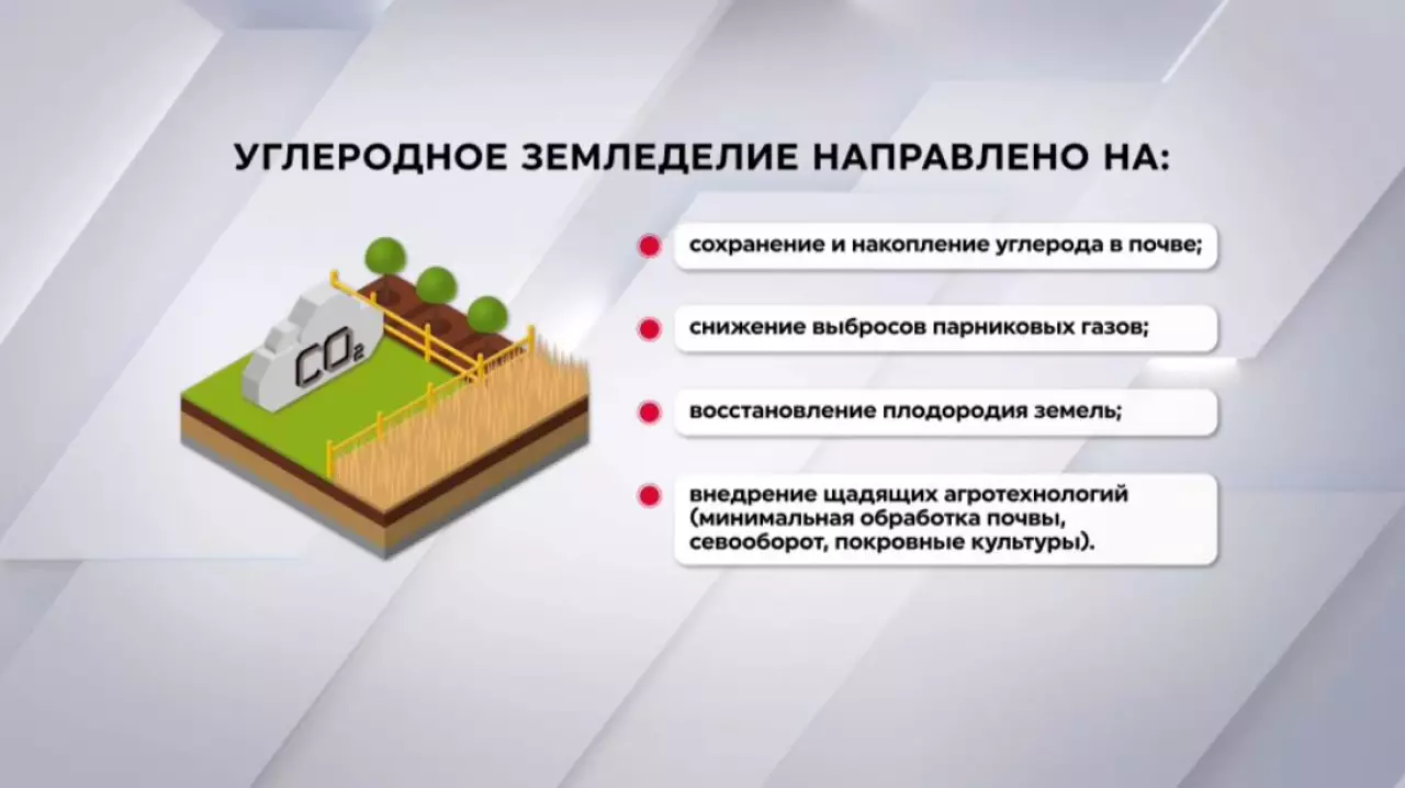 Восстановление деградированных земель: новые шаги