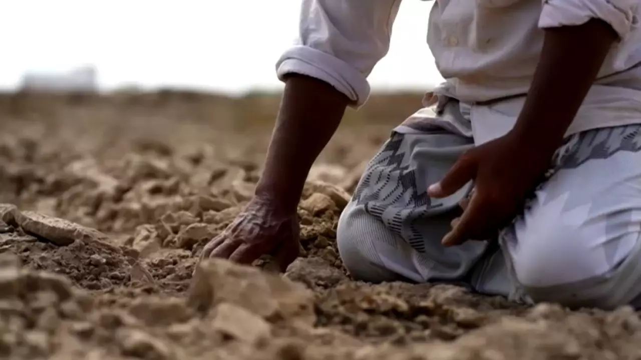 Борьба с деградацией почв в мире