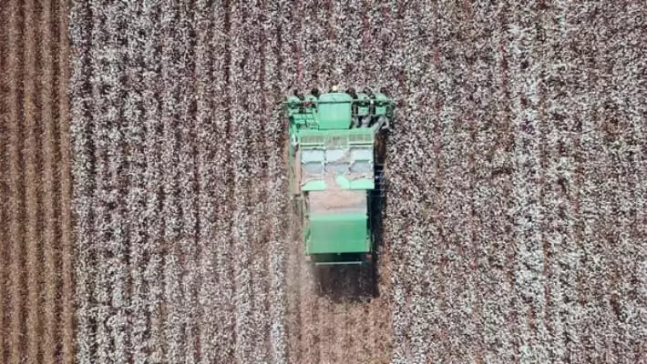 Узбекистан закупит 800 хлопкоуборочных машин