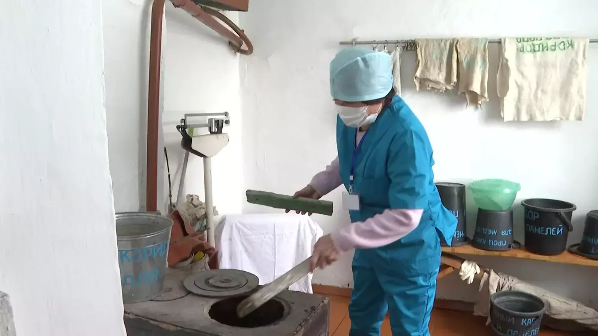Бүкіл ауылға жауапты - жалғыз фельдшер: ШҚО-да 60 елдімекенге жаңа емхана қажет