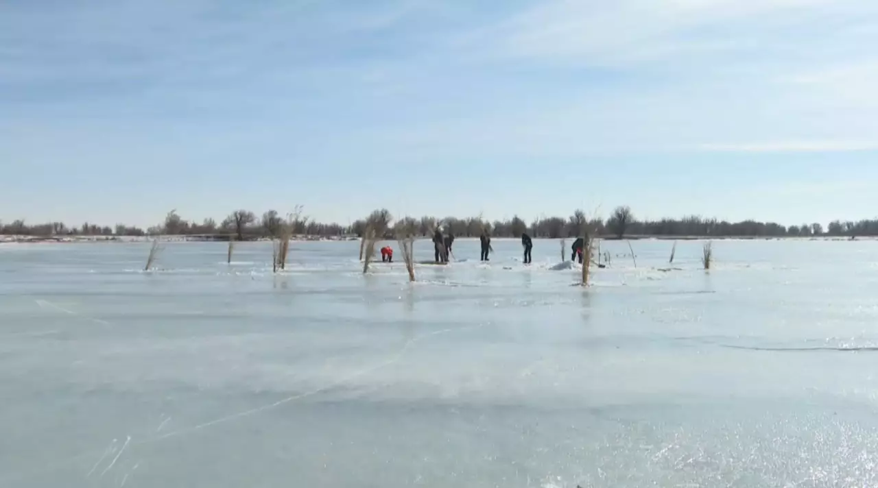 Атырау облысында балықтарға оттегі жетпей жатыр