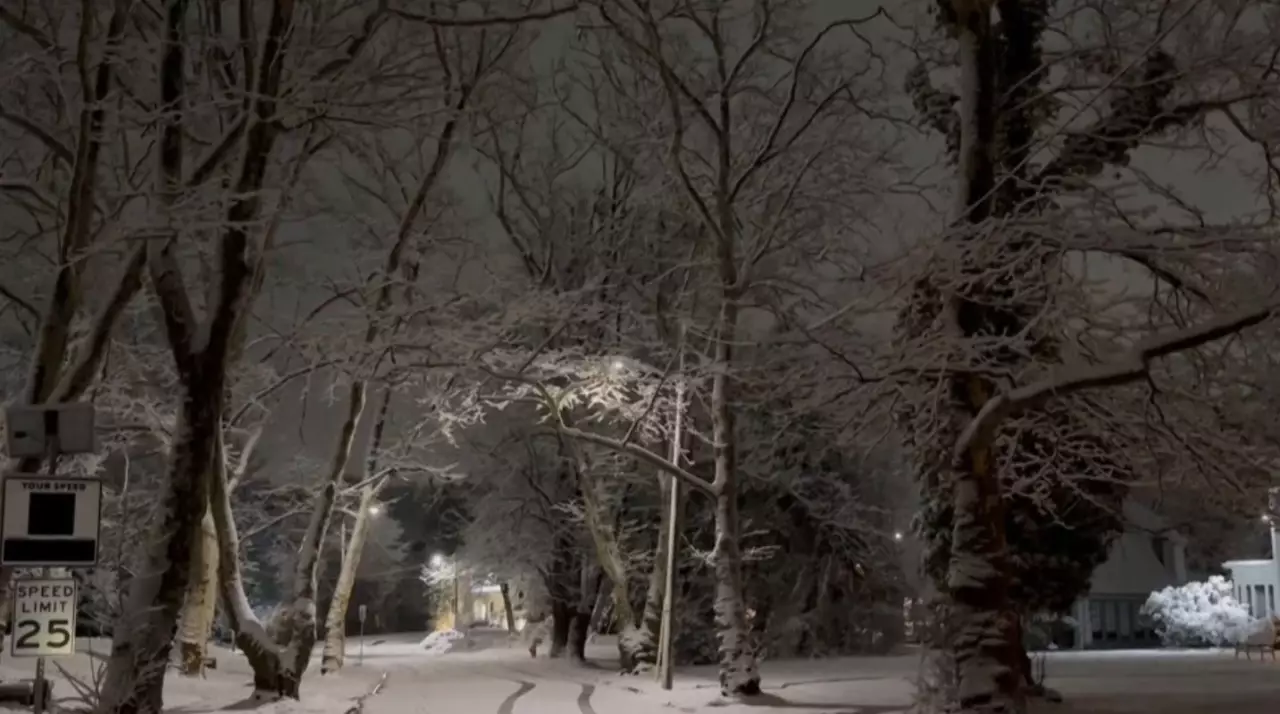 АҚШ-та 5 мыңнан астам әуе рейсі тоқтатылды