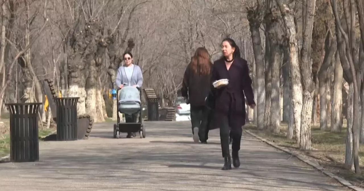 Тараздықтар жаңа Конституцияны қолдайды. Сауалнама