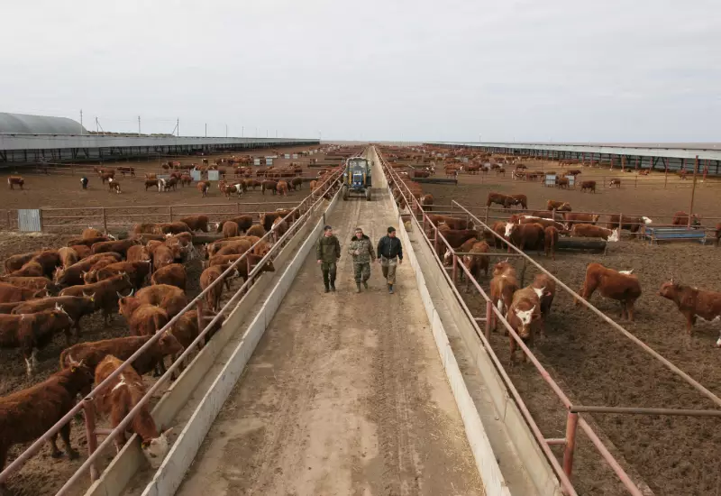 Казахстан ввел ограничения на ввоз животноводческой продукции из Калмыкии