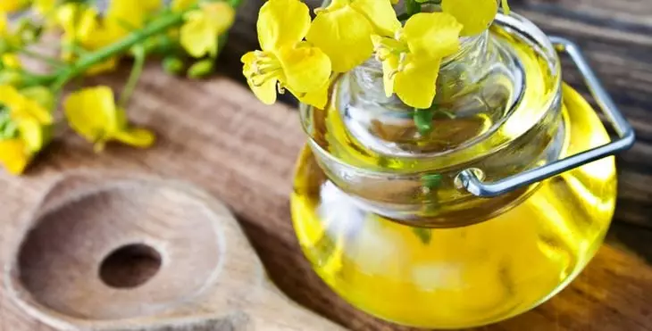 Китай возобновляет импорт рапсового масла из Казахстана через ГМО