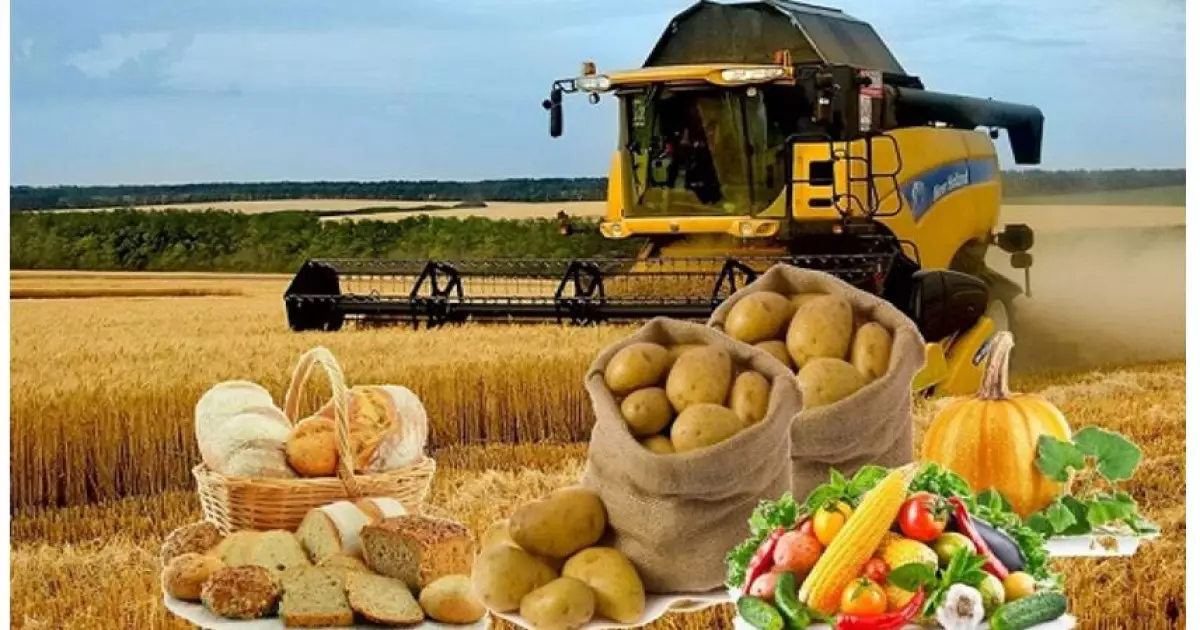   Агросектордағы шектеу: таразы басы тең болса игі   