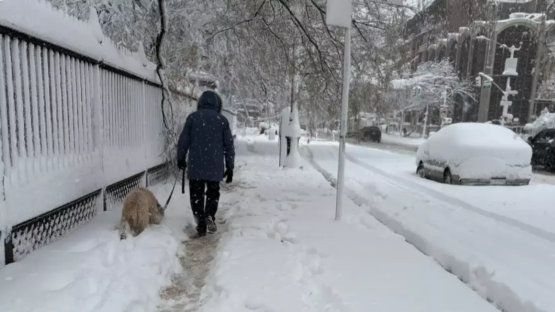 АҚШ-тың шығысында қарлы боран: 10 000 рейс тоқтатылып, жүздеген мың адам электр қуатынсыз қалды