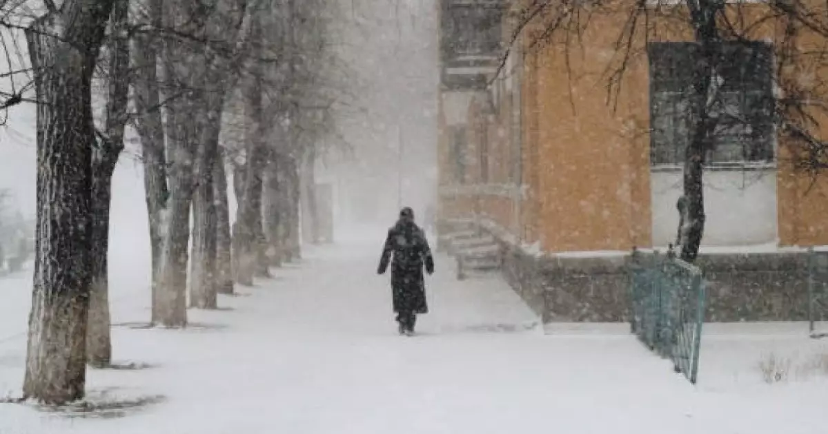  24 ақпанға ауа райы болжамы жариланды 