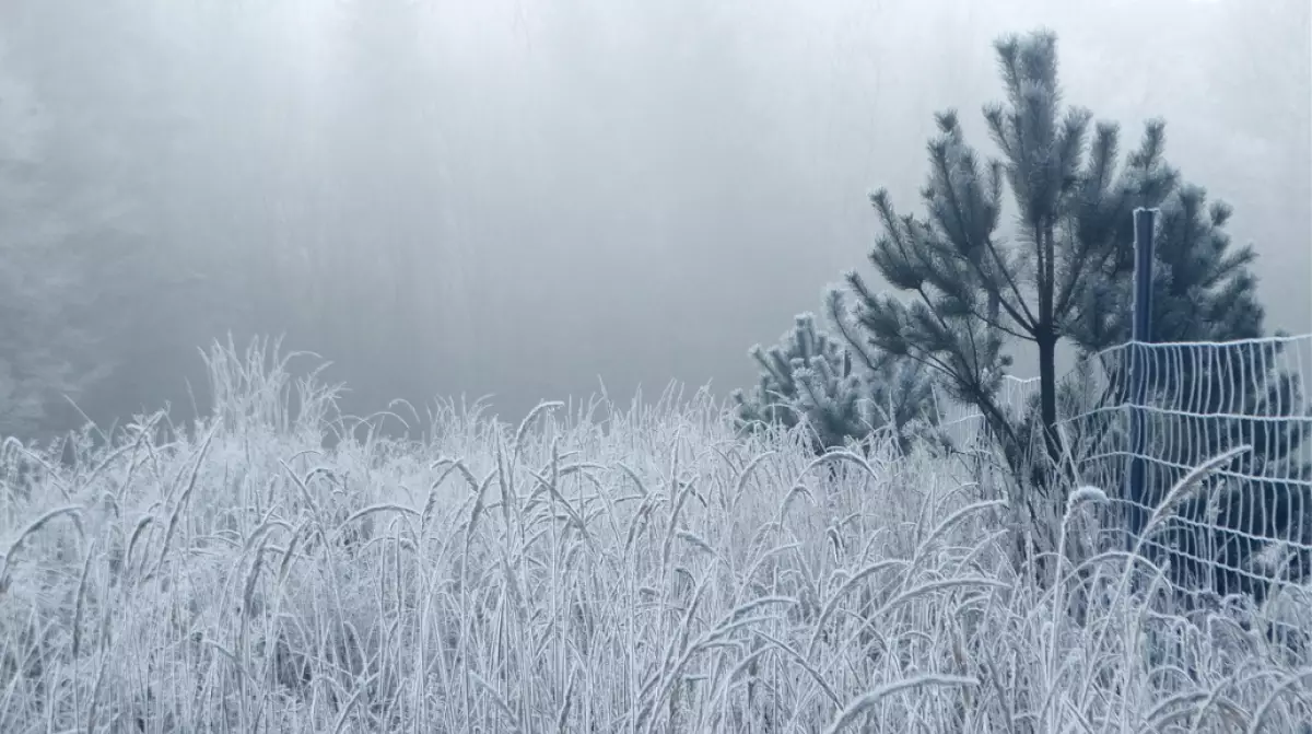 Аяз, тұман: Еліміздің 14 өңірінде дауылды ескерту жарияланды