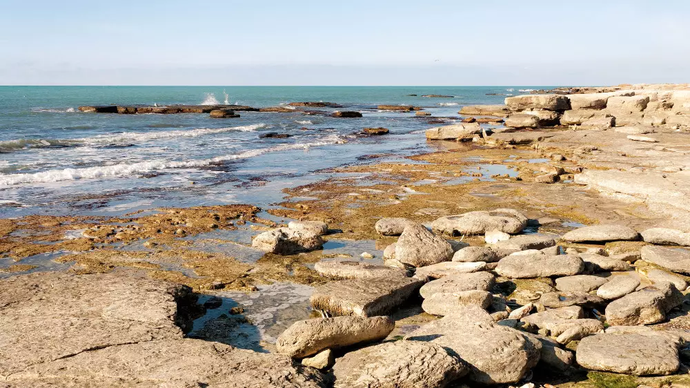 Каспийді сақтауға 1,1 миллиард теңге бөлінді