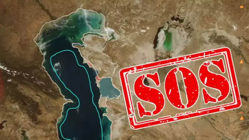 Больше 1 млрд тенге потратят на изучение и сохранение Каспия в Казахстане