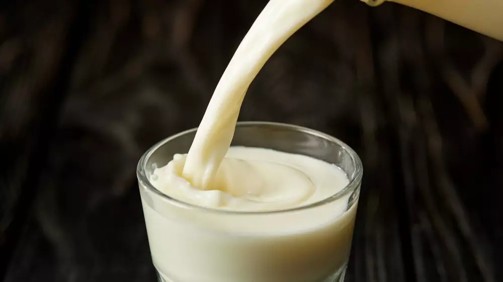 В Кокшетау 2 года воровали миллионы на фиктивных поставках молока